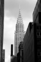 New York (9)